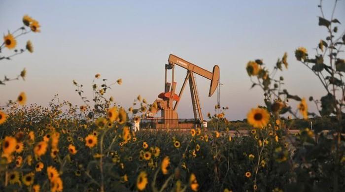 Oil settles flat; dips after API reports US crude build