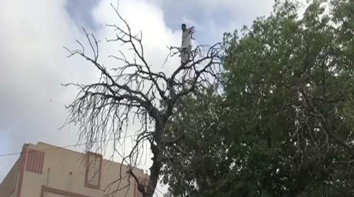 IG orders recruitment test of ex-SRP man after he protests in Karachi