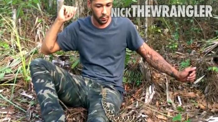 The Terrifying Truth Ohios Rattlesnake Population Explodes - gvortbl