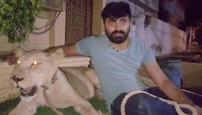 Man arrested for driving around Karachi with lioness in his vehicle