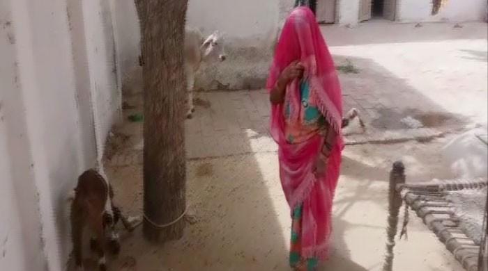 Parents change location after 'forced conversion, marriage' of 16-year-old daughter in Thar