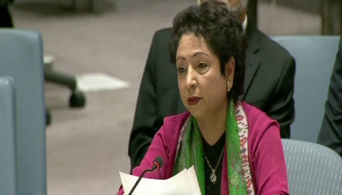  Taliban 'safe havens' located inside Afghanistan not outside: Maleeha Lodhi