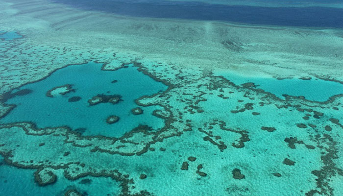 Great Barrier Reef a $42 billion asset 'too big to fail': study