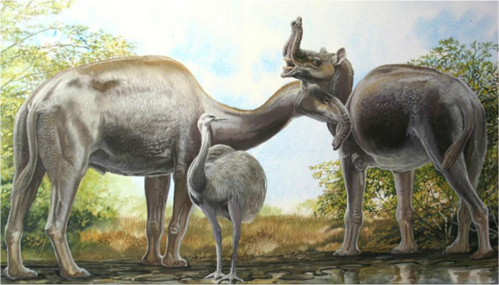 Darwin´s ´strangest animal ever´ finds a family