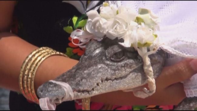 Town mayor ‘marries’ crocodile in Mexico