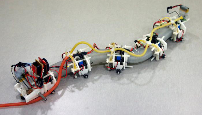 Snake on a plane! Don't panic, it's probably just a (soft) robot