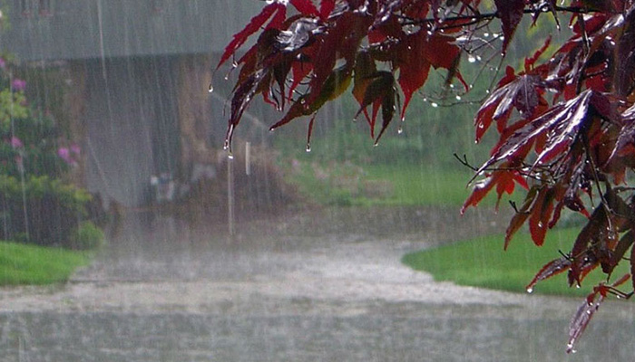 Eastern parts of country to receive monsoon showers today: MET