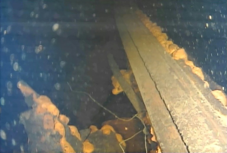 Robot finds possible melted fuel inside Fukushima reactor