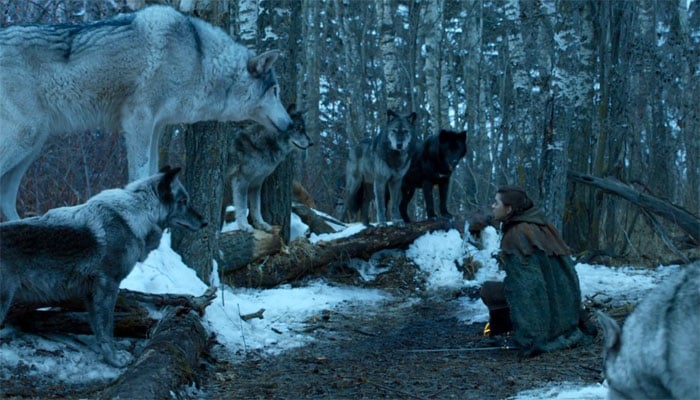 Arya’s bittersweet reunion with her direwolf explained by GoT creators 