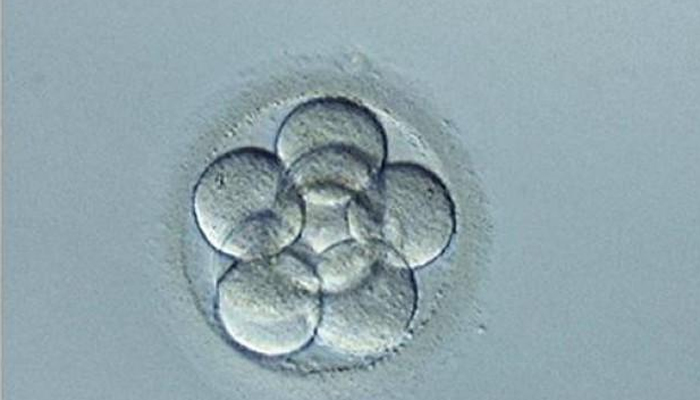 First editing of human embryos carried out in United States