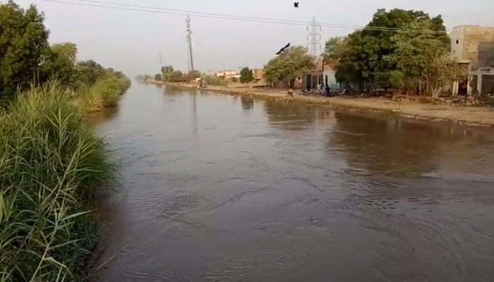 Man jumps into canal with four children to 'escape poverty' in Rahim Yar Khan 