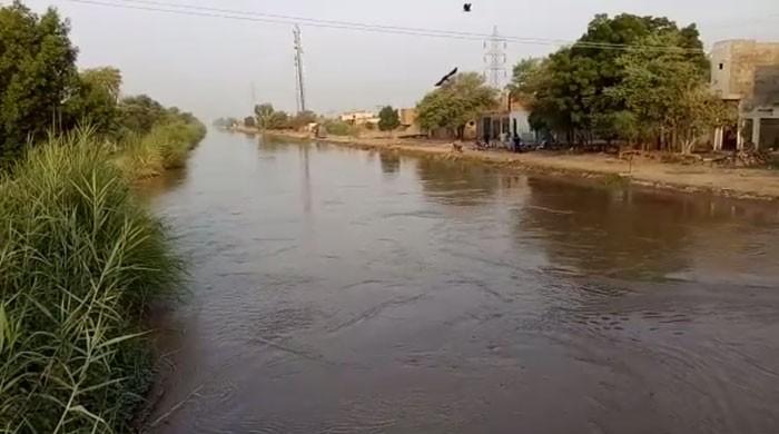 Man jumps into canal with four children to 'escape poverty' in Rahim Yar Khan 