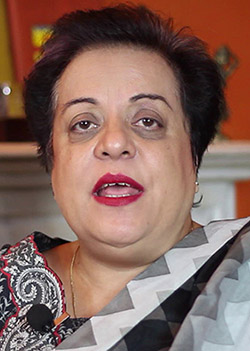 Ms Mazari, do you remember what you said?