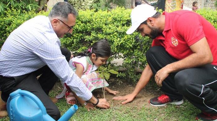 A greener Pakistan, one run and wicket at a time 