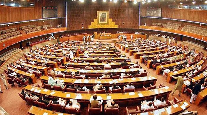 20-member parliamentary committee being formed to probe Gulalai allegations 