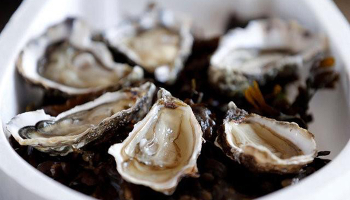 French oysters go on sale in vending machines