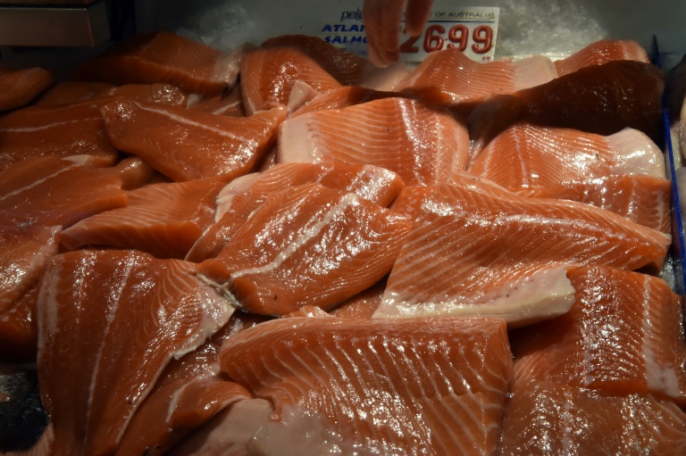 Sale of genetically modified salmon in Canada alarms environmentalists