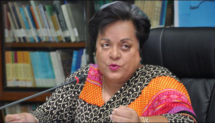 Parliamentary body to probe harassment allegations not 'credible': Mazari