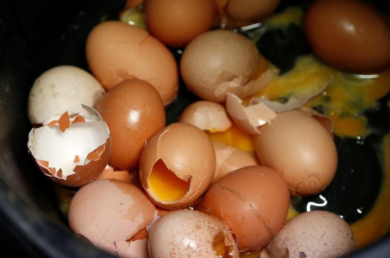 Austria finds some egg products contaminated with insecticide