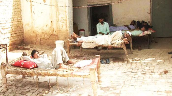 Dengue alert: Is Peshawar prepared for yet another outbreak?  Dengue alert: Is Peshawar prepared for yet another outbreak?