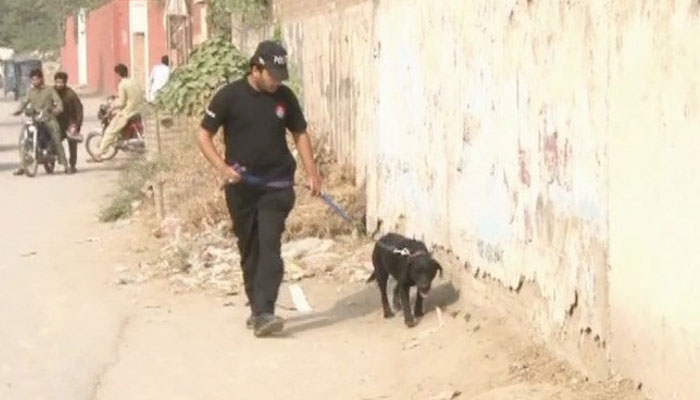 13 sniffer dogs of KP police die within three years