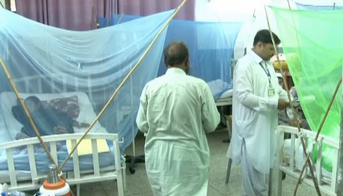 Dengue in Peshawar claims teenager’s life, bringing death toll to six