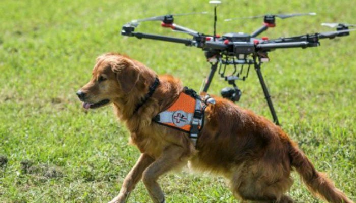 Go fetch! Drones help Swiss rescue dogs find the missing