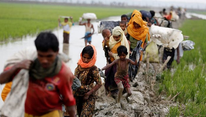 Rohingya persecution: Resolutions submitted in NA, provincial assemblies