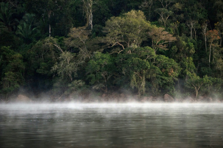 Brazil investigates alleged tribal massacre in Amazon