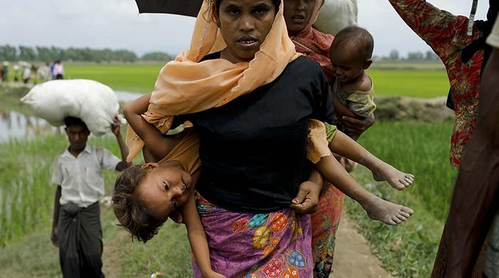 The Rohingya struggle