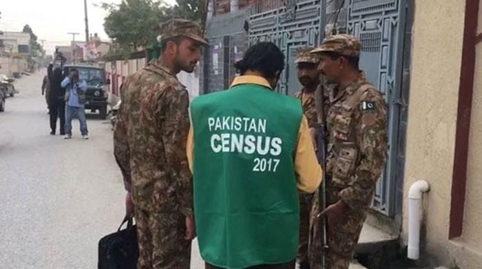 Making sense of the census