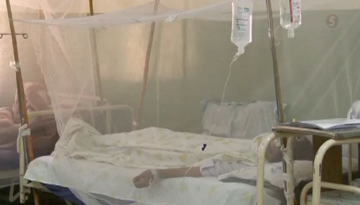Two more dead due to dengue in Peshawar