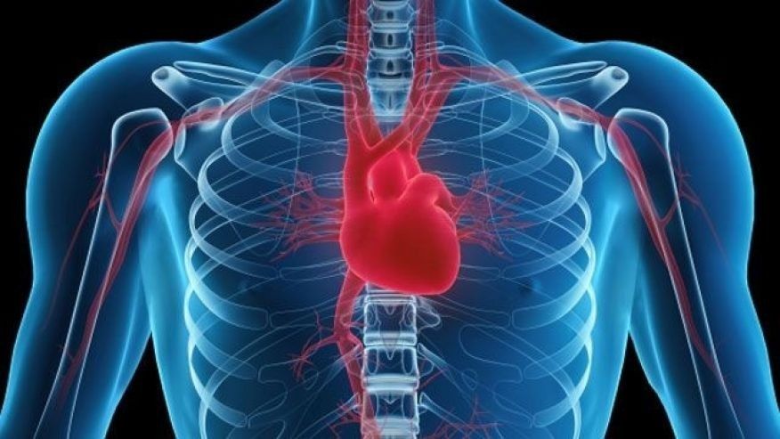 A healthy heart can also help keep the mind sharp
