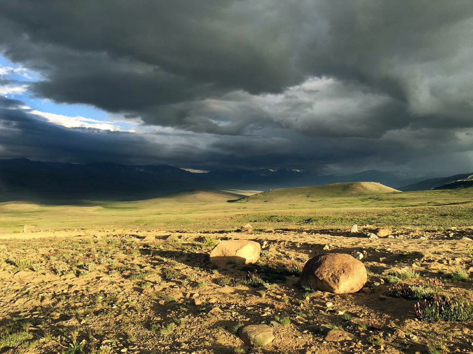 'Only fools go to Deosai'