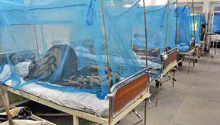 Two more die of dengue fever in Peshawar 