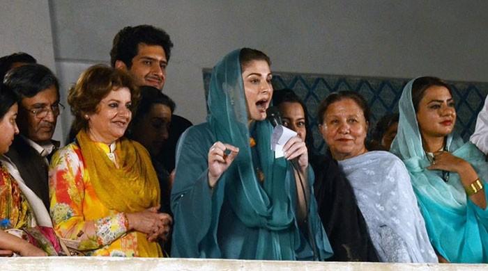 The making of a political heiress The making of a political heiress