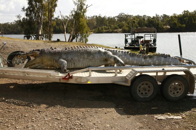 Australian police hunt killer of 'giant croc'