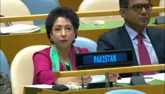 India 'mother of terrorism' in South Asia, Lodhi hits back at Swaraj