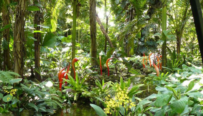 Botanic gardens are world's 'best hope' for saving threatened plants