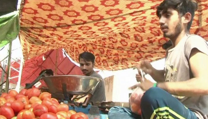 Why are tomato prices rising in Pakistan?
