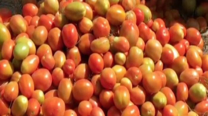 Why are tomato prices rising in Pakistan? Why are tomato prices rising in Pakistan?