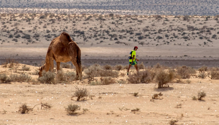 Runners hit the desert for Tunisia's first ultra-marathon