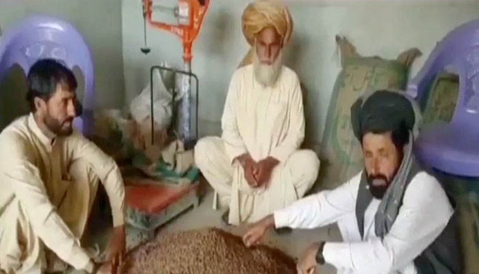South Waziristan political admin lifts ban on pine nuts distribution across country