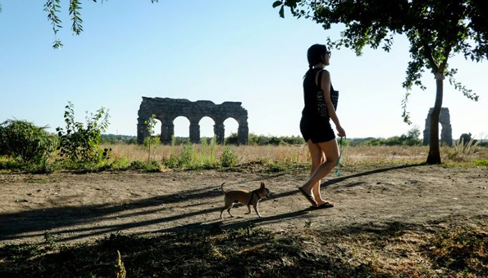 Italian granted sick pay to care for ill dog