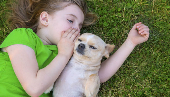 Pet dogs help kids feel less stressed: study 