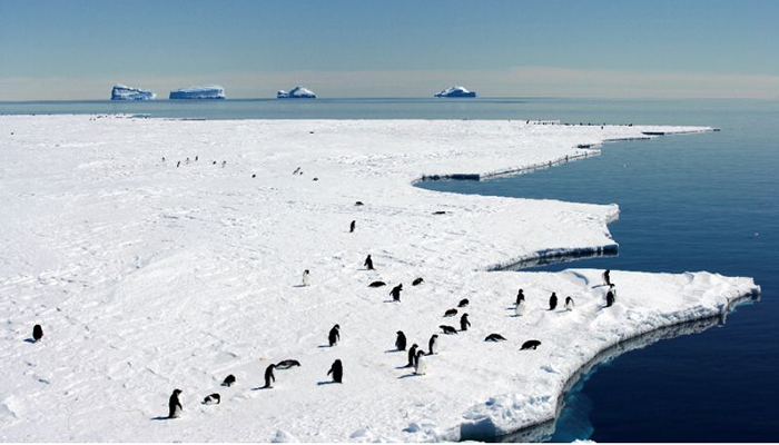 Hopes dashed for giant new Antarctic marine sanctuary