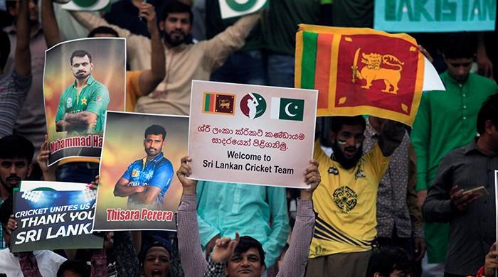 The little cricket miracle The little cricket miracle