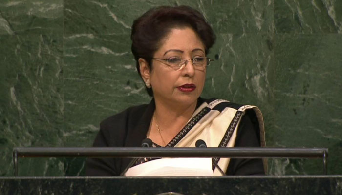 China's vision important for promoting international peace, says Maleeha Lodhi