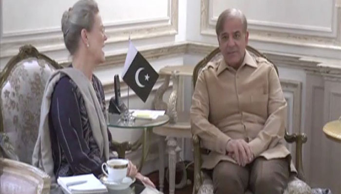 Shehbaz Sharif meets former US ambassador at CM house