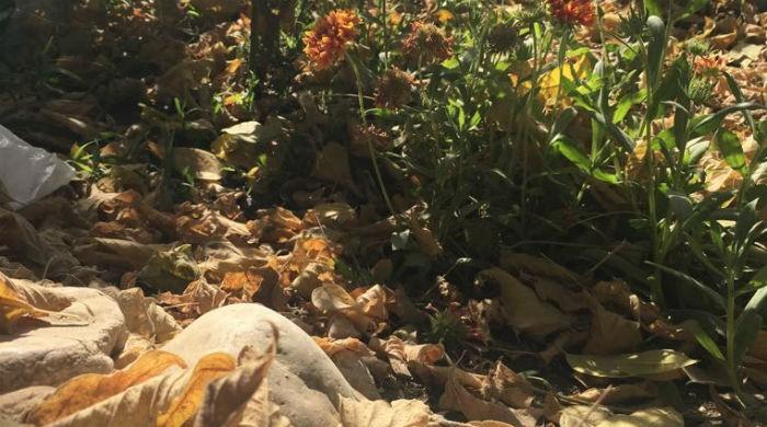 Autumn has come, the summer is past Autumn has come, the summer is past